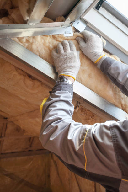 Best Cellulose Insulation in Desnso, CA